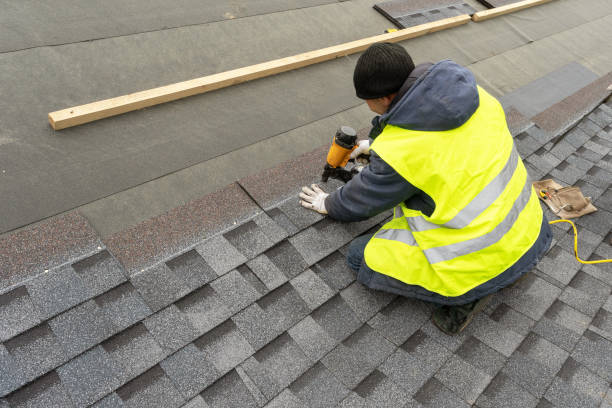 Best Metal Roofing Contractor  in Greenville, MI