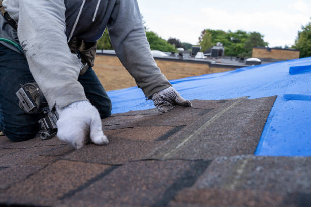 Best Commercial Roofing Services  in Greenville, MI