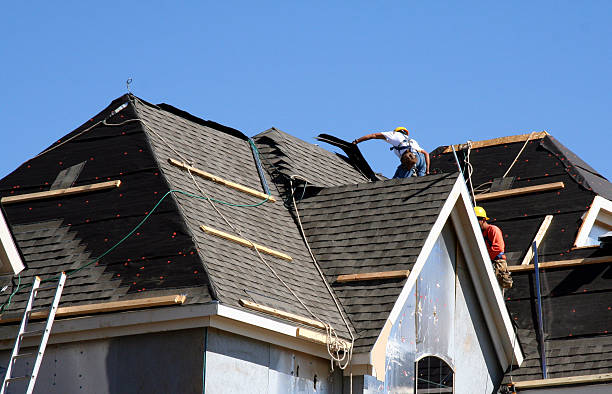 Best Gutter Installation and Roofing  in Greenville, MI