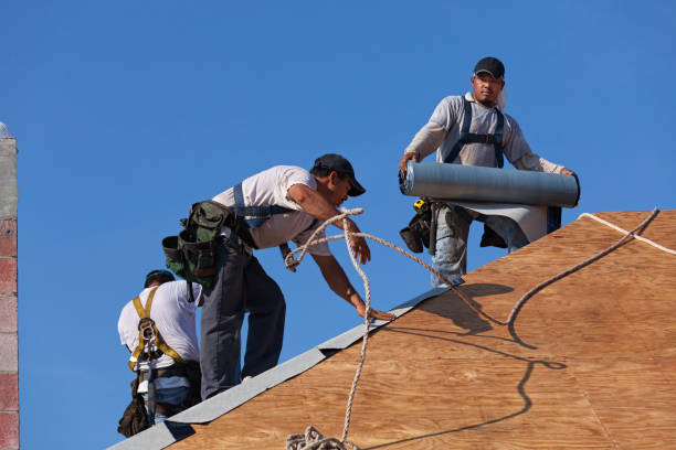 Best Emergency Roof Repair  in Greenville, MI
