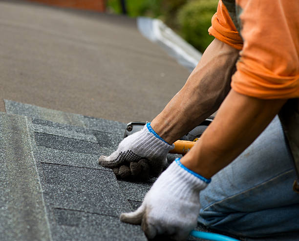 Best Roof Gutter Cleaning  in Greenville, MI