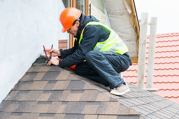 Best Roof Inspection Near Me  in Greenville, MI