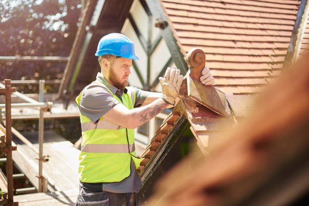Best Storm Damage Roof Repair  in Greenville, MI