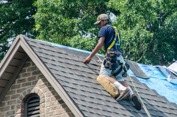 Best Residential Roofing Contractor  in Greenville, MI